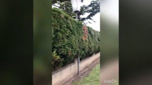 Австрийская деревня как мы живём,бедность в Австрии? Как??