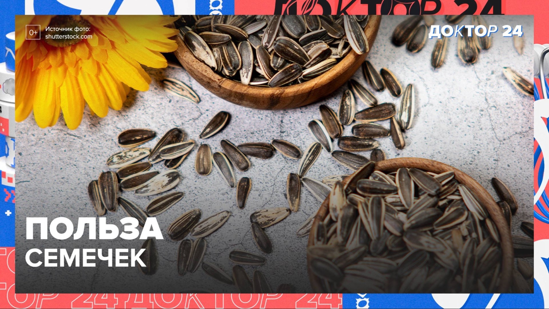 Чем полезны СЕМЕЧКИ? | Доктор 24 смотреть онлайн
