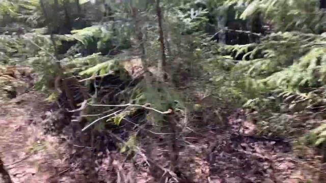 Орловские валуны #туризм смотреть онлайн