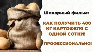 Вкусный, суперполезный картофель может вырастить каждый! Смотри фильм