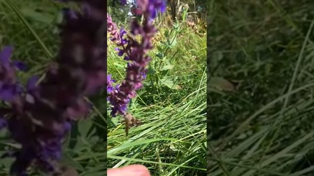 Красота Донбасса смотреть онлайн