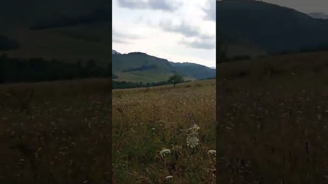 Беспдел чиновников-единороссов в Урупском районе КЧР при решении земельных вопросов. смотреть онлайн