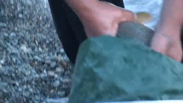 Отдых на Балхаше Рыбалка 2016г смотреть онлайн