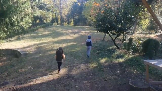 Интересное место в Дилиджане. Дендропарк Иджевана. Ластивер. смотреть онлайн