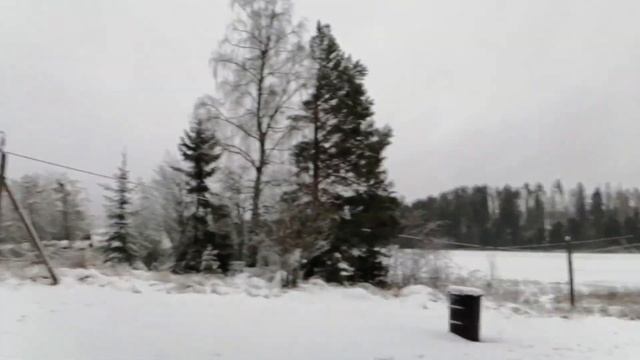 Гранитное (Капеасалми). Палатка Берег "Зима-лето". 2.01.2021. смотреть онлайн