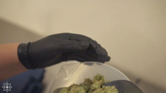 Indoor Harvest смотреть онлайн