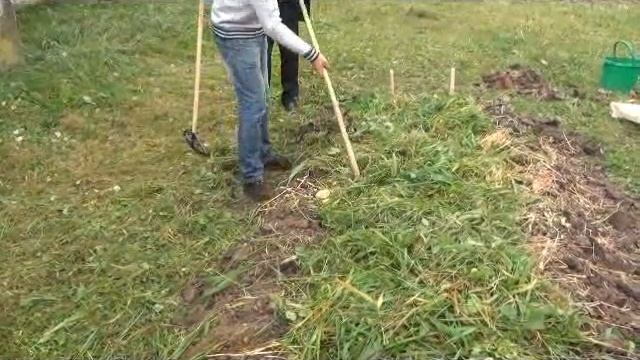 технологія створення грядки Розума смотреть онлайн