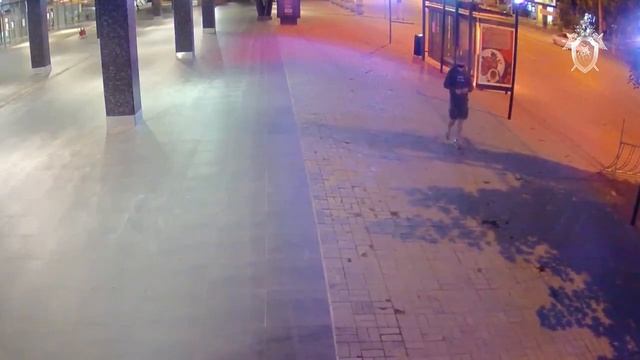 В Смоленске допросили подозреваемого в убийстве студента в Волгограде смотреть онлайн