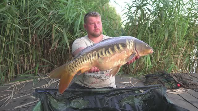 "НАУЧИ МЕНЯ" Карпфишинг смотреть онлайн