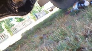 Газ-3307 заміна масла в мостові та кпп