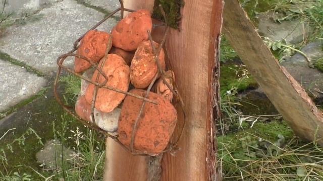 Современное искусство на "Дне Ч" в Санкт-Петербурге смотреть онлайн