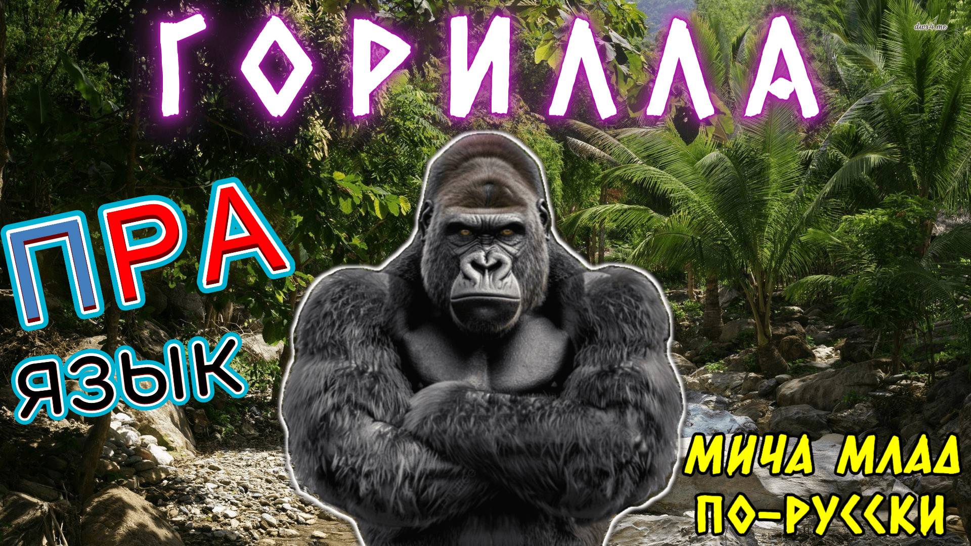 «ГОРИЛЛА» что означает? Этимология. Праязык