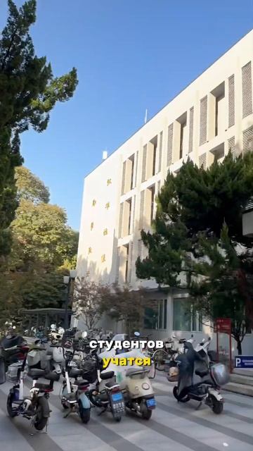 Почему Китай самая лучшая страна #китай #китайский #учебавкитае смотреть онлайн