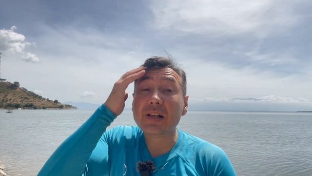 Плавание с самыми большими рыбами в мире: китовые акулы мифы и реальность подводного путешетвия смотреть онлайн