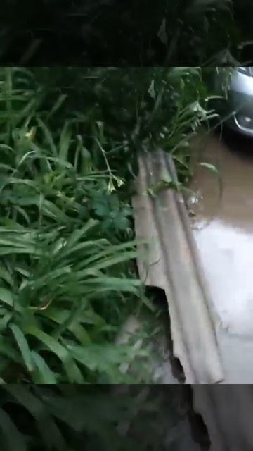 Крышу снесло смотреть онлайн