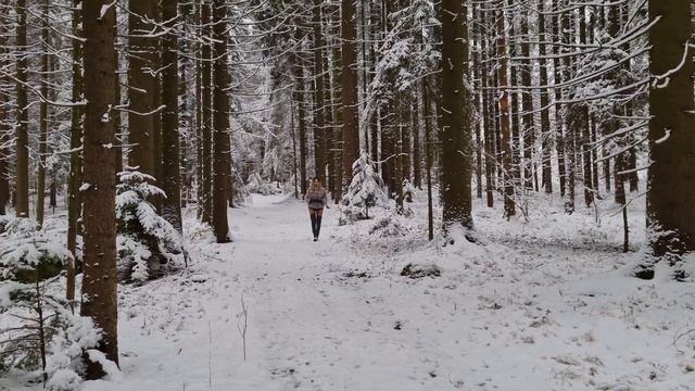 Прогулка в лесу . Нижняя Австрия смотреть онлайн