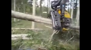 Супер техника для валки леса.