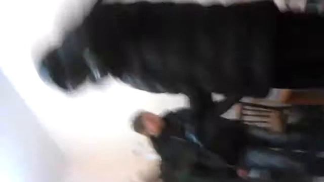 Весёлая деревня! смотреть онлайн