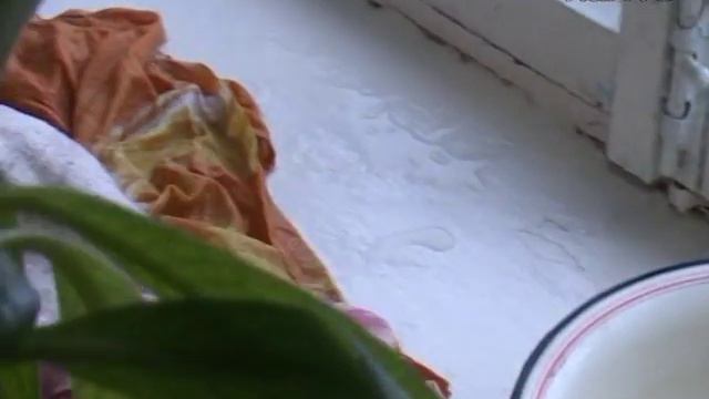 Пошли дожди - потекли крыши смотреть онлайн