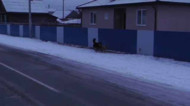 Беларусь Полесье Движуха смотреть онлайн