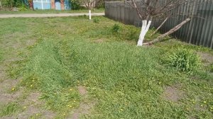 Фекалии - как удобрение