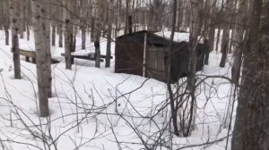 Экстремальный таежный поход Саши Счастливого. Room-тур по избам и пополнение припасов