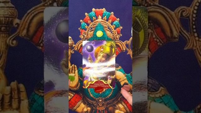 ГАНЕША #раскрытиесердца #яснознание #таро #tarot #ясновидение#оракул#энергия#матрица#ганеша#ganesha