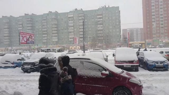 Снегопад в Санкт-Петербурге. 17.01.2019 смотреть онлайн