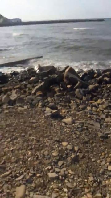 Отдых в Джубге. Пляж б/о А-море смотреть онлайн