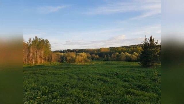 Начало лета красоты нашего северного края смотреть онлайн