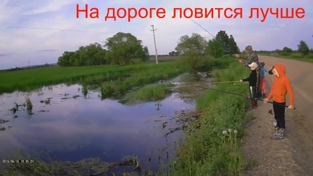 Отдых на природе смотреть онлайн