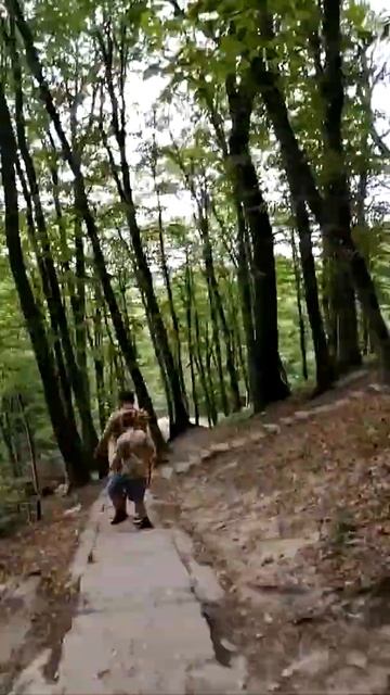 #лето#Ставрополь#бабушка#Таманский лес#родники# смотреть онлайн