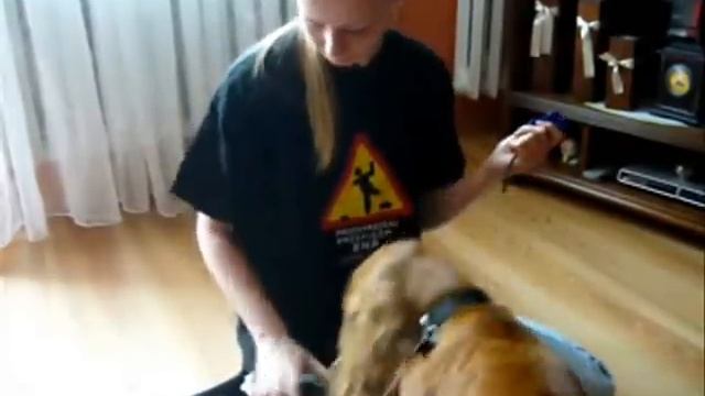 2,5 roku razem :) смотреть онлайн