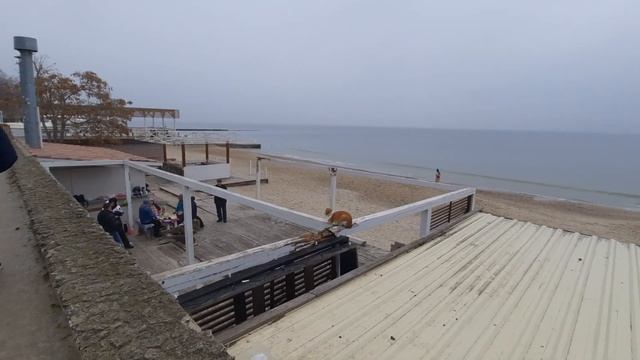 Одесса 5 минут назад. У ЧЁРНОГО МОРЯ! ЧТО ПРОИСХОДИТ! смотреть онлайн
