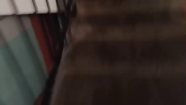 Пожар в квартире в поселке Новый смотреть онлайн