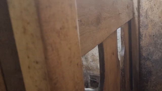 До отёла осталось... подготовили место. смотреть онлайн