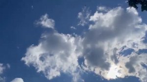 Ижевские голуби. Утренний полет