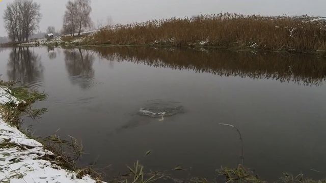 На що клює щука взимку? смотреть онлайн