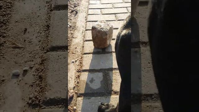 Хуго и кирпич смотреть онлайн