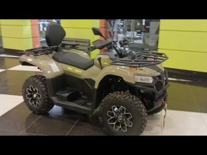 Скидки на квадроциклы Bizon 450!