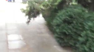 Коньячный завод Таврия  Новая Каховка