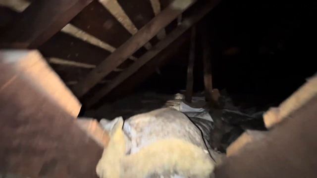 Дому больше 100 лет. Ищу сокровища на чердаке.