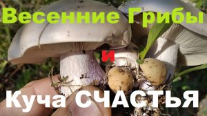 Весенние ГРИБЫ! Астраханской Губернии.