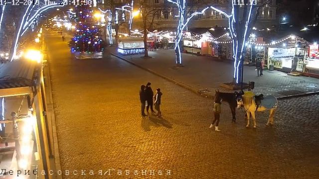 Christmas Tree and Horses ... Дерибасовская улица #2 | Odessa ONLINE ᴴᴰ Ukraine смотреть онлайн