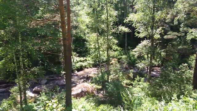 3 июля 2019 г. смотреть онлайн