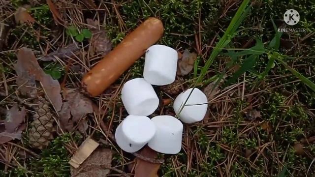 Нашли Заброшенный Охотничий Лагерь | Ведëм Расследование. смотреть онлайн