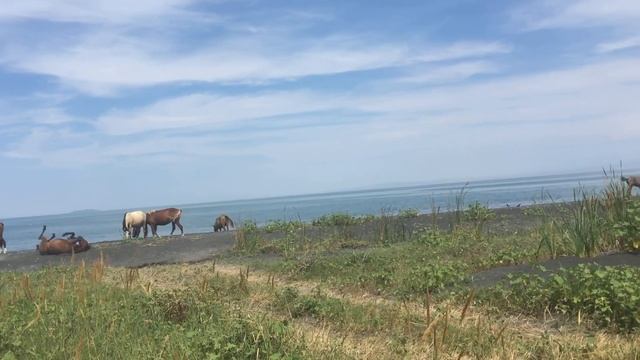 Алаколь-отпуск в палатках 2 смотреть онлайн