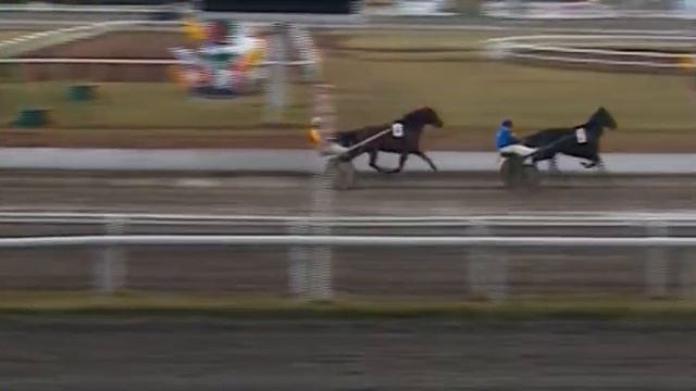 11 Октября 2018 5 Заезд Приз ДОВЕРИЕ «Ышаныс» смотреть онлайн