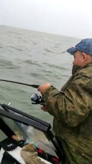 Работа Zetrjx Avalanche 802m с Шимано твин Пауэр 21 4000PG смотреть онлайн