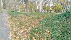 Проучил свою мачеху